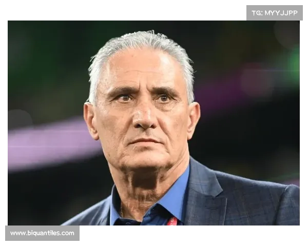 巴西国家队辉煌历史与传奇球员的荣耀篇章